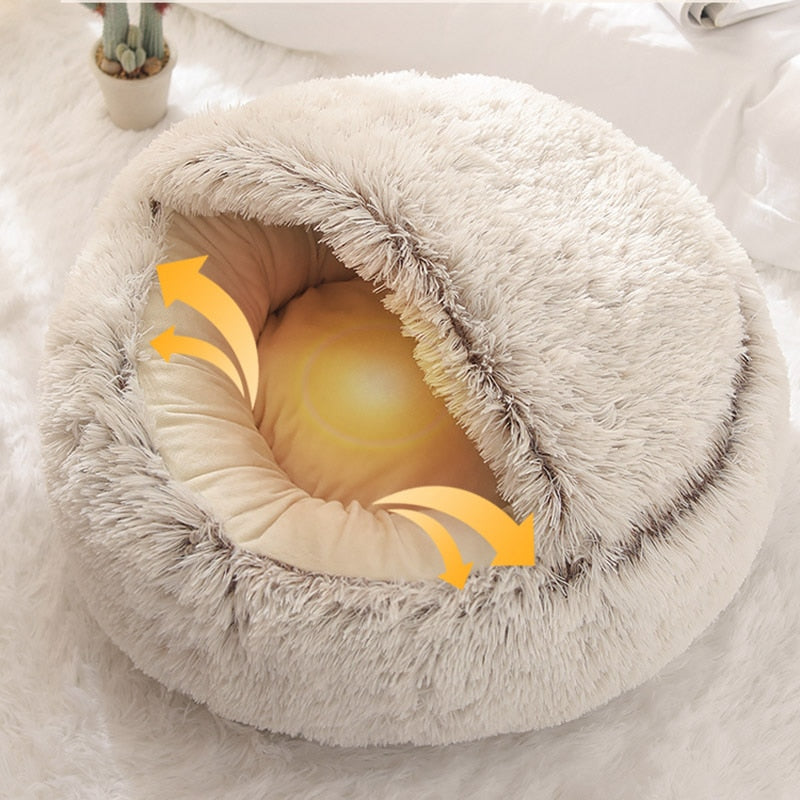 Cat clam outlet bed