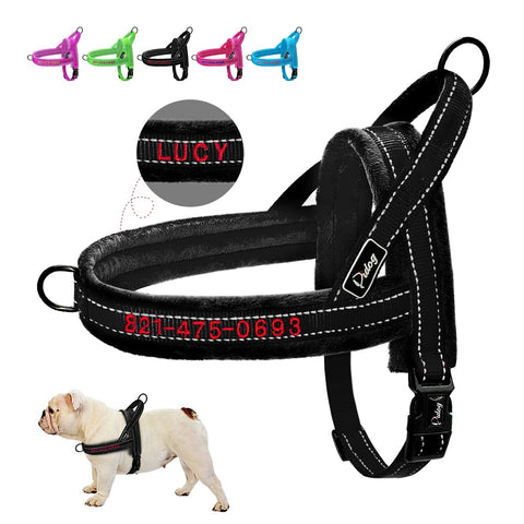 Custom Embroidered Padded Bully Harness