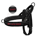 Custom Embroidered Padded Bully Harness