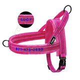 Custom Embroidered Padded Bully Harness