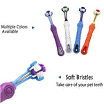 Three Sided Dog Toothbrush