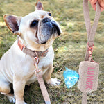 Personalized Collar + Leash Set