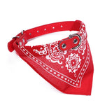 Bandana Neckerchief Collar