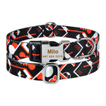 Personalized Nylon Clip Collar