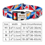 Personalized Nylon Clip Collar