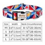 Personalized Nylon Clip Collar