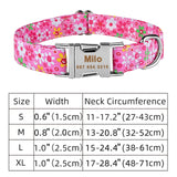 Personalized Nylon Clip Collar