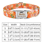 Personalized Nylon Clip Collar