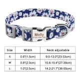 Personalized Nylon Clip Collar