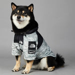 Pawpular Hype Windbreaker Grey