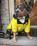 Pawpular Hype Windbreaker Yellow