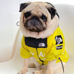 Pawpular Hype Windbreaker Yellow