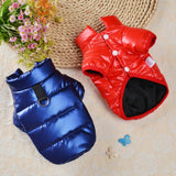 Winter Waterproof Frenchie Jacket