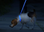 LED Night Collar