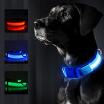 LED Night Collar