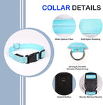 LED Night Collar