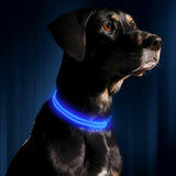 LED Night Collar