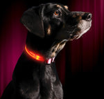 LED Night Collar